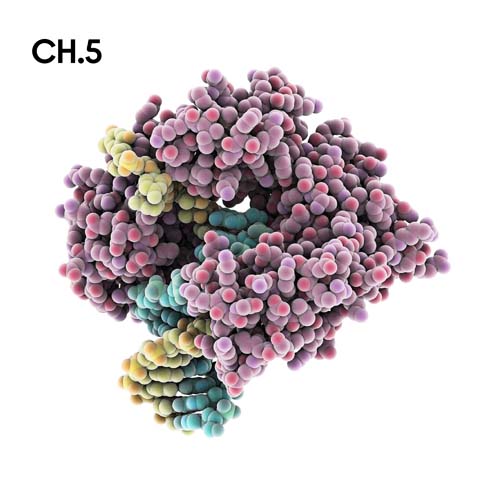 Chemie_motiv5.jpg Chemie_motiv5.jpg